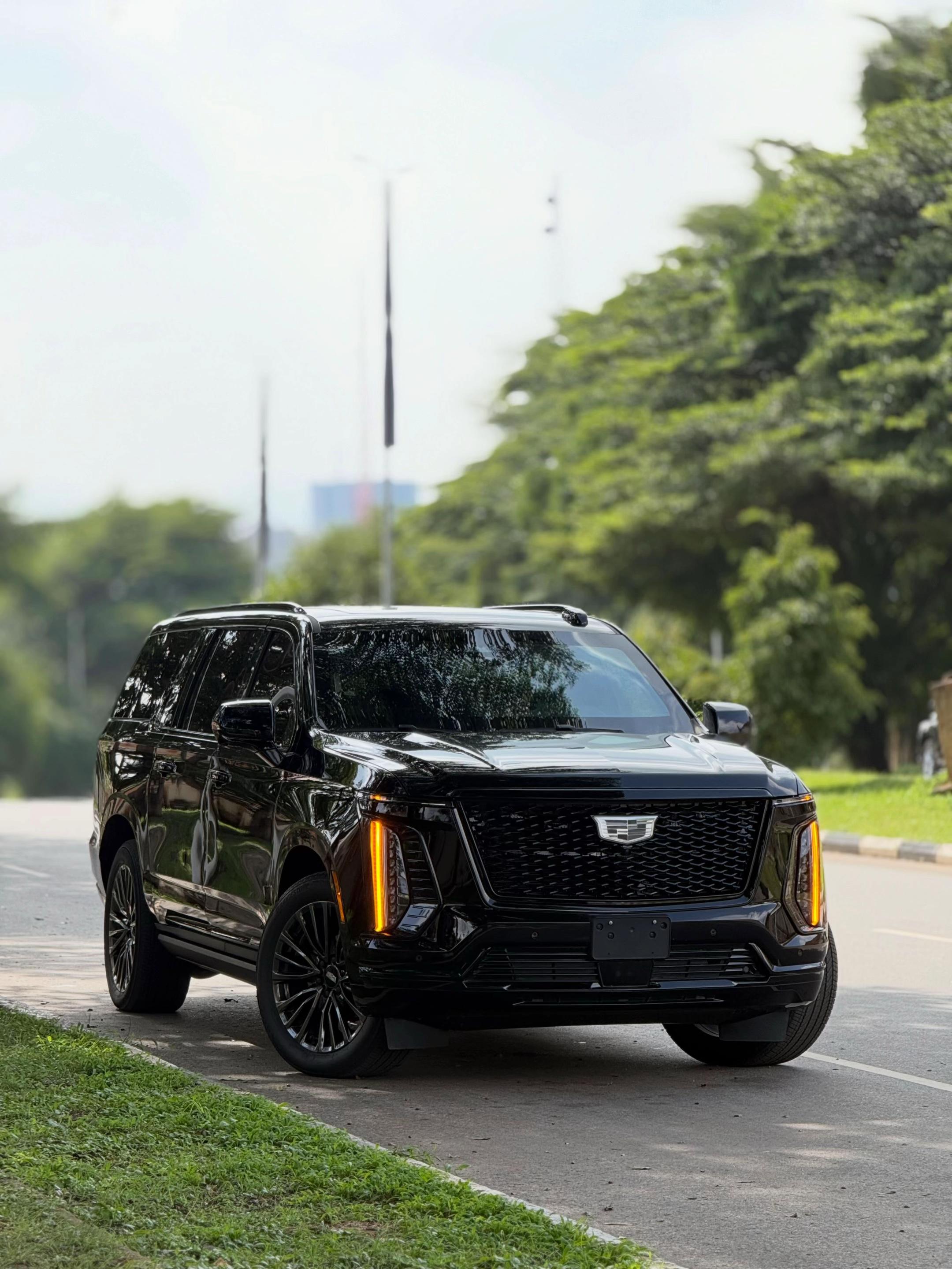 PROM LIMOUSINE